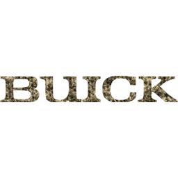 buick 2 icon