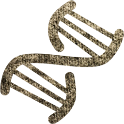 dna helix icon