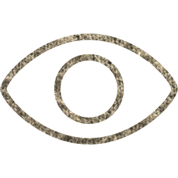 eye icon