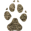 footprints dog