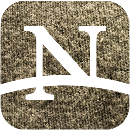 netscape icon