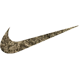 nike icon