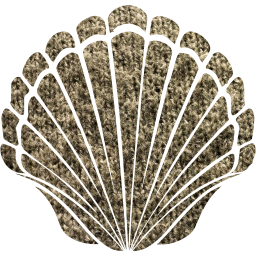 seashell 2 icon