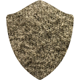 shield icon