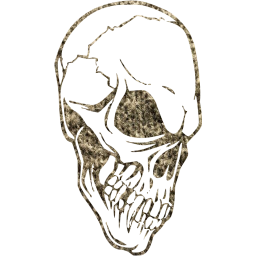 skull 19 icon