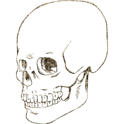 skull 38 icon