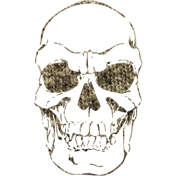 skull 41 icon