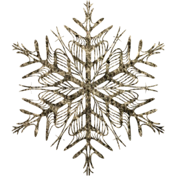 snowflake 37 icon