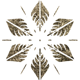 snowflake 5 icon