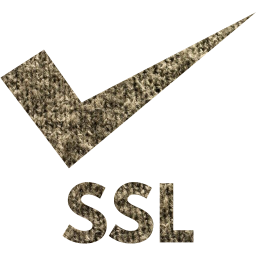 ssl badge 3 icon