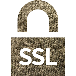 ssl badge 4 icon