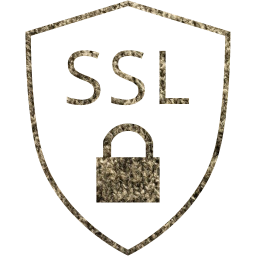 ssl badge icon