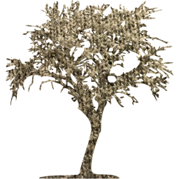 tree 10 icon