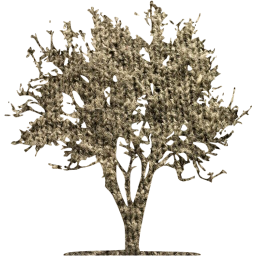 tree 21 icon