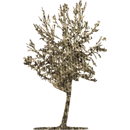 tree 27 icon