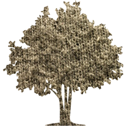 tree 32 icon