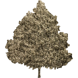 tree 47 icon