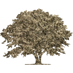 tree 9 icon