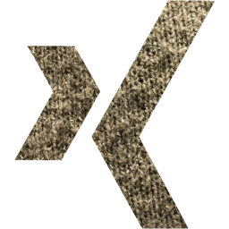 xing icon