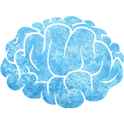 brain 2 icon