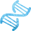 dna helix