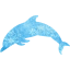 dolphin