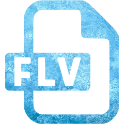 flv icon