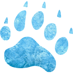 footprints bear icon