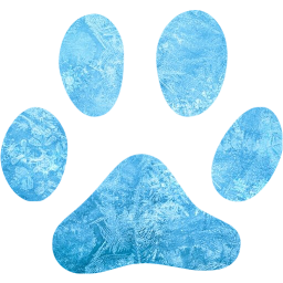 footprints cat icon