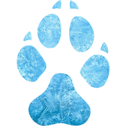 footprints dog icon