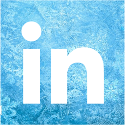 linkedin 2 icon