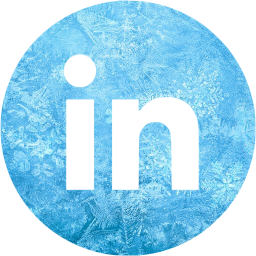 linkedin 4 icon