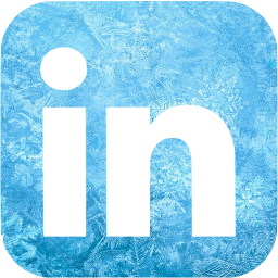 linkedin 6 icon