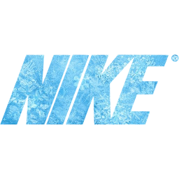 nike 2 icon