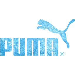 puma icon