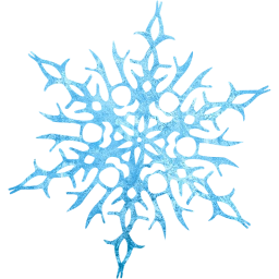 snowflake 14 icon