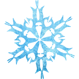 snowflake 30 icon