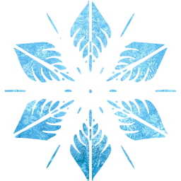 snowflake 5 icon