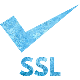 ssl badge 3 icon