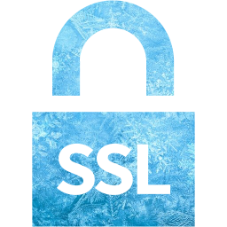 ssl badge 4 icon