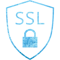 ssl badge icon