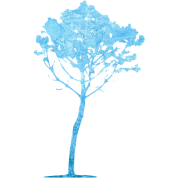 tree 34 icon