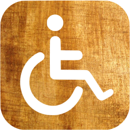 accessibility icon