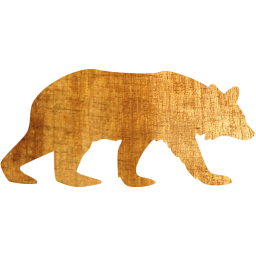 bear 5 icon