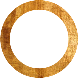 circle outline icon