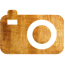 compact camera icon