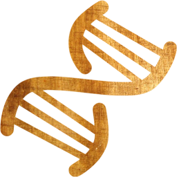 dna helix icon