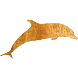 dolphin 3 icon