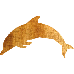 dolphin icon