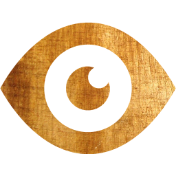 eye 2 icon